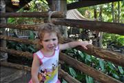 2011-02-22 17-13-33_0252